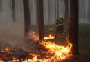 Požár lesa – Lelekovice